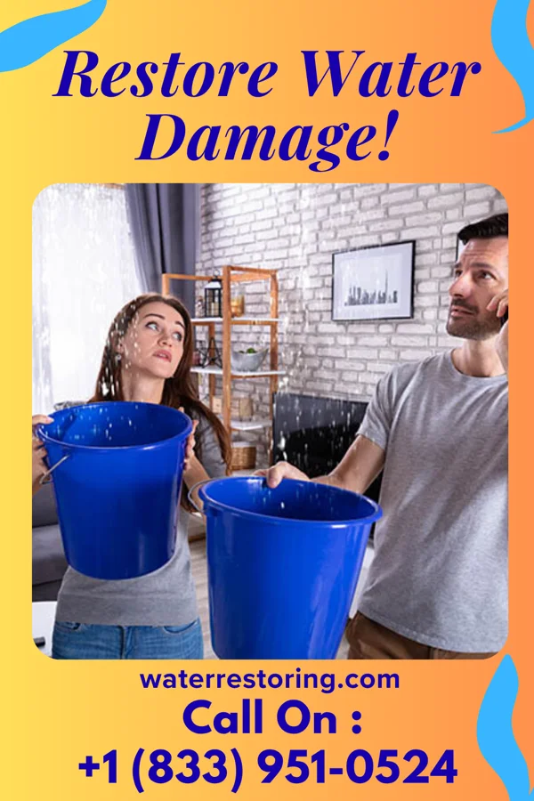 water restoration Eagle Water Mitigation Partners Kistler